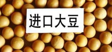 阿根廷調整出口稅 谷物及副產品關稅改革解讀